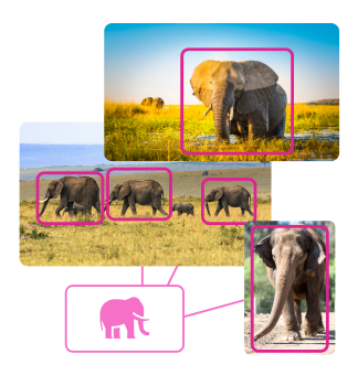 model-general-image-detection-elephants.png?t=1714132410882